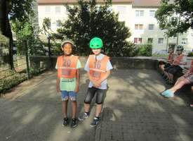 IMG 6246