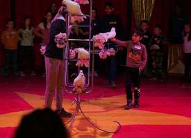 K-DSC01092