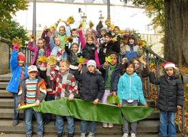 2011-Okt Herbstblätter 1a Hei 3