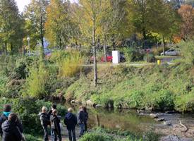 2011-11 4b-3 Herbst