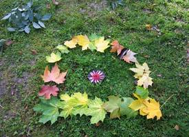 2011-11 4b - 11 Herbstbild