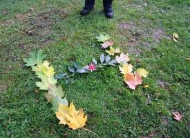 2011-11 4b - 5 Herbstbild
